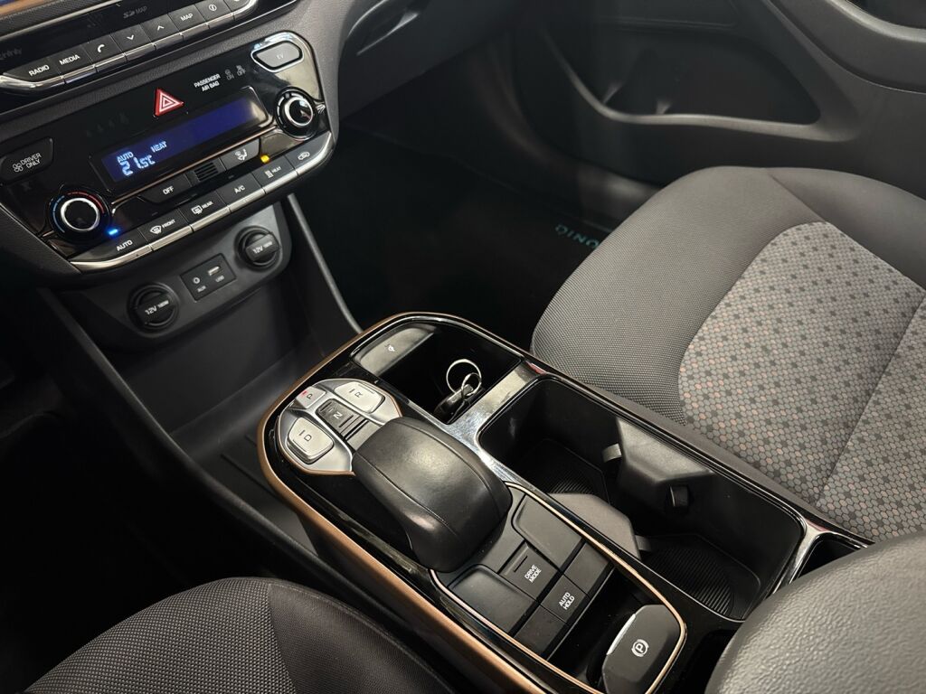 Hyundai IONIQ electric 2017 Monivär.