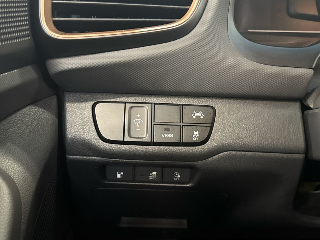 Hyundai IONIQ electric 2017 Monivär.