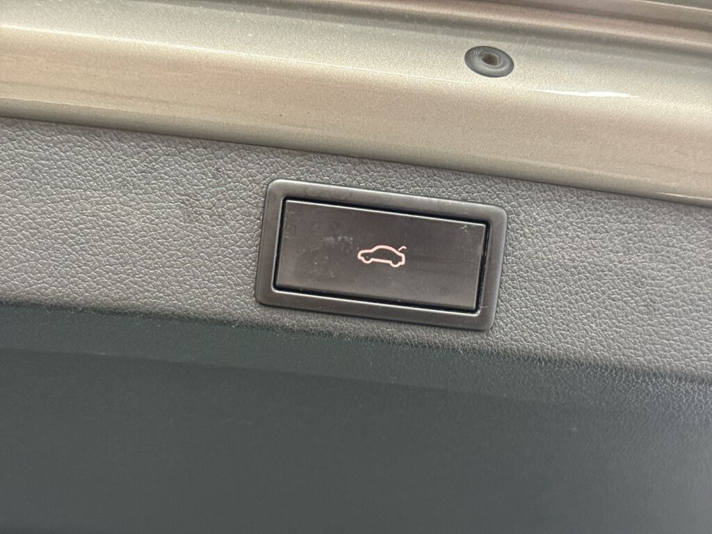 Skoda Octavia 2018 Ruskea (beige)