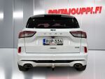 Ford Kuga 2022 Valkoinen