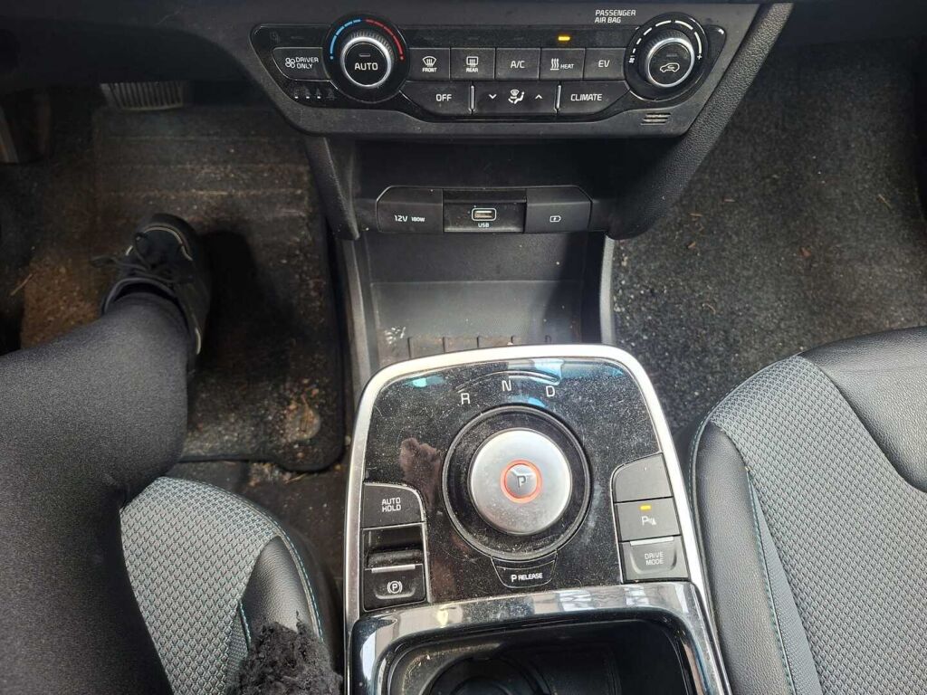Kia Niro Electric 2020 Punainen