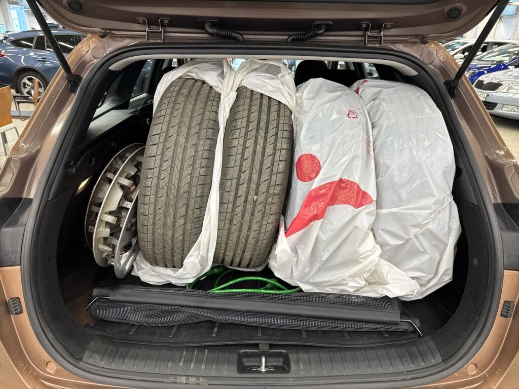 Kia Ceed 2023 Ruskea (beige)