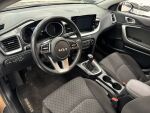 Kia Ceed 2023 Ruskea (beige)