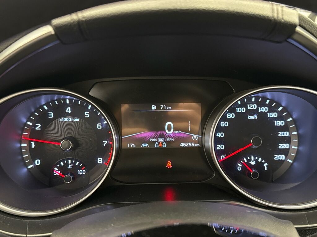 Kia Ceed 2023 Ruskea (beige)