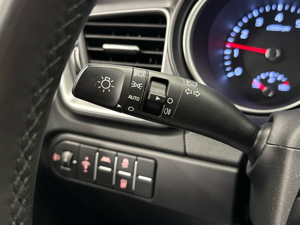 Kia Ceed 2023 Ruskea (beige)