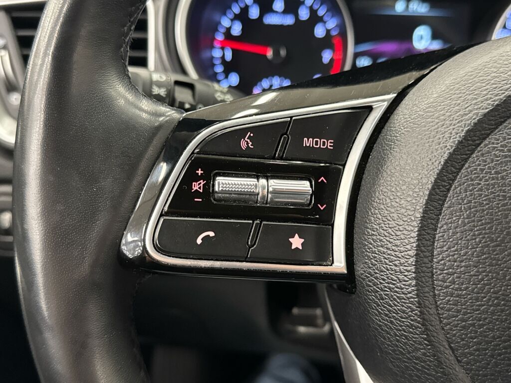 Kia Ceed 2023 Ruskea (beige)