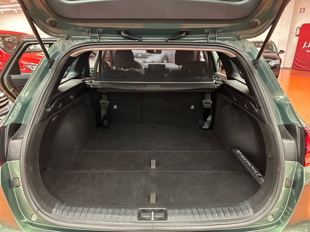 Kia Ceed 2023 Vihreä