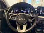 Kia Ceed 2023 Hopea
