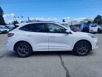 Ford Kuga 2023 Valkoinen