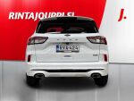 Ford Kuga 2023 Valkoinen