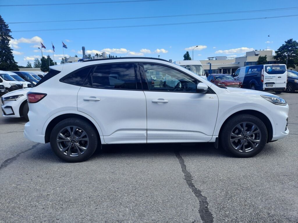 Ford Kuga 2023 Valkoinen