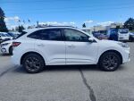 Ford Kuga 2023 Valkoinen