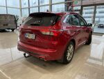 Ford Kuga 2023 Lucid Red
