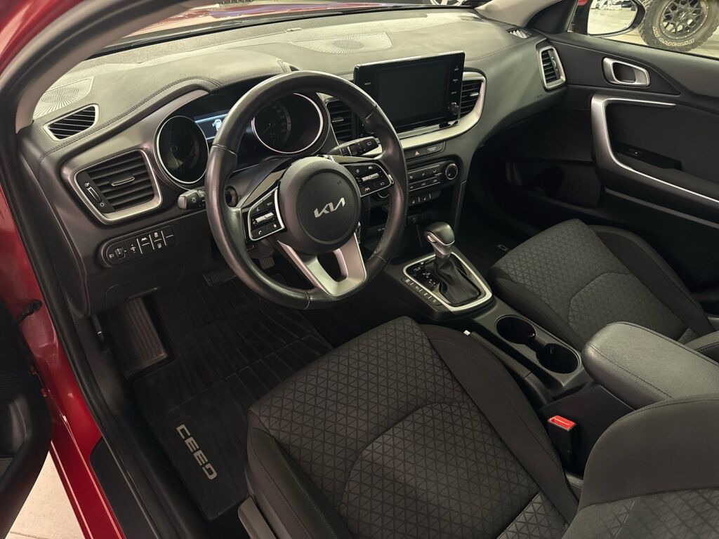 Kia Ceed 2023 Punainen