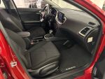 Kia Ceed 2023 Punainen