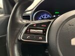 Kia Ceed 2023 Harmaa