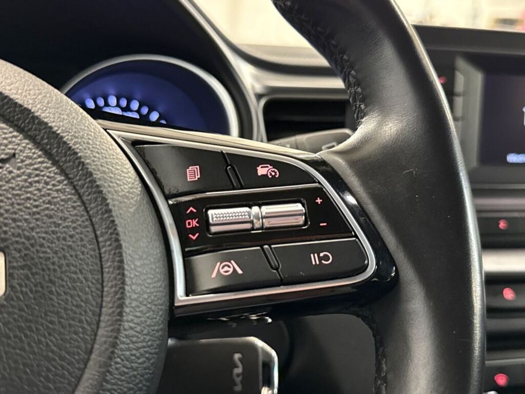 Kia Ceed 2023 Harmaa