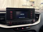 Kia Ceed 2023 Harmaa