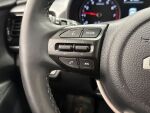Kia Rio 2024 Harmaa