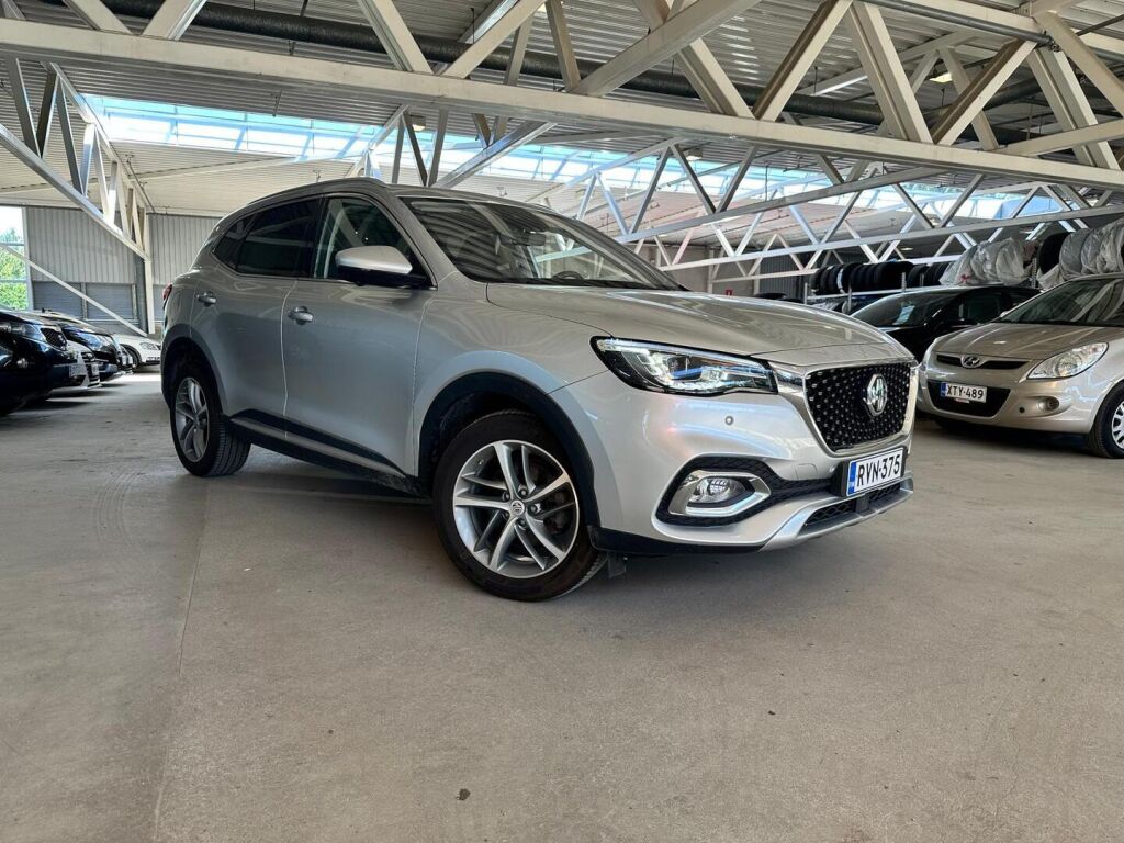 Mg EHS 2021 Harmaa