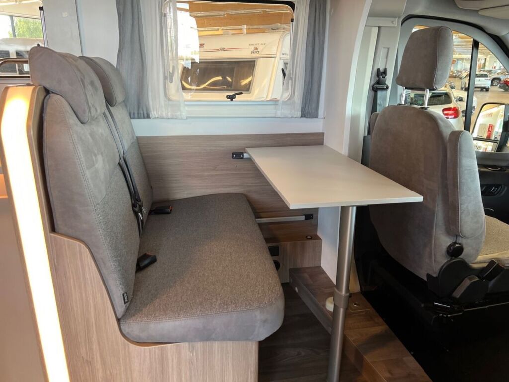 Carado T449 2024 Sininen