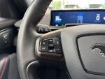 Ford Mustang Mach-E 2021 Harmaa