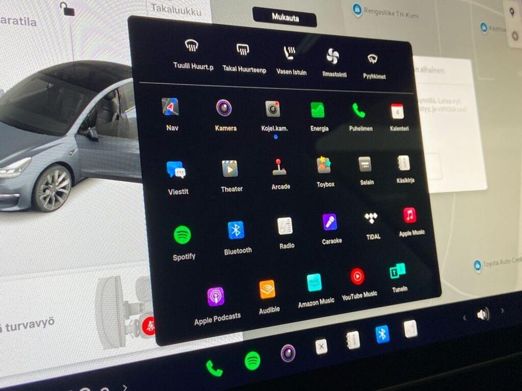 Tesla Model 3 2021 Harmaa
