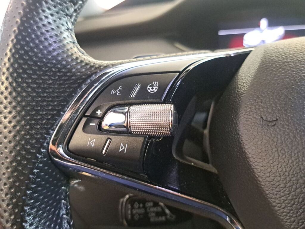 Skoda Enyaq 2022 Sininen