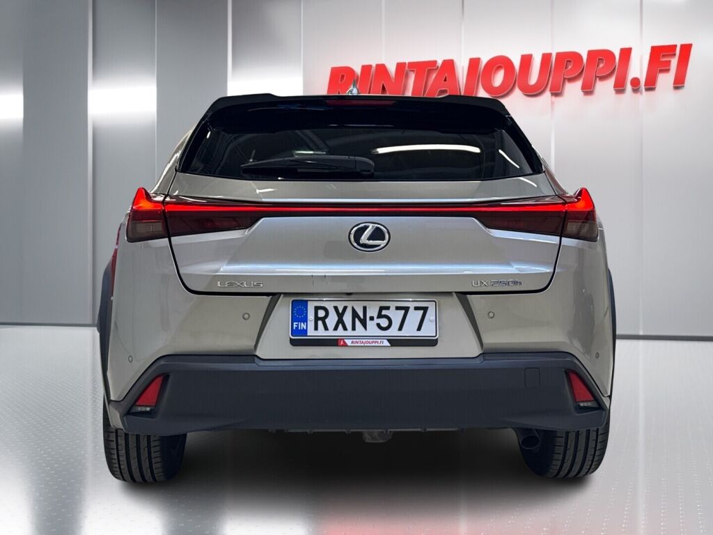 Lexus UX 2020 Harmaa