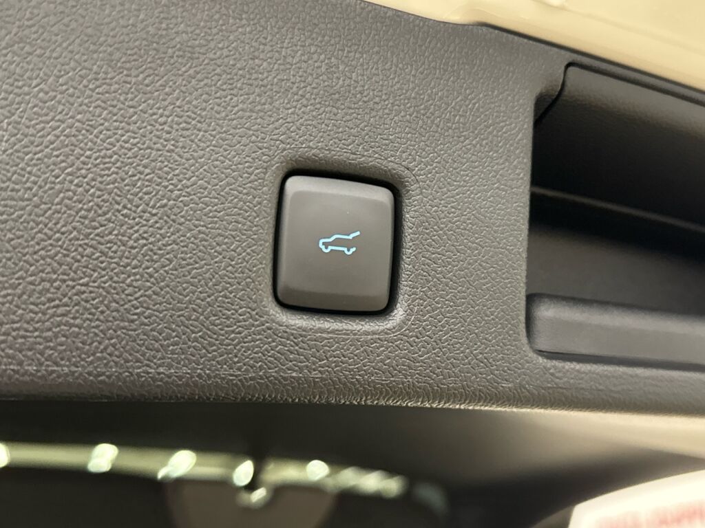 Ford Kuga 2026 Valkoinen