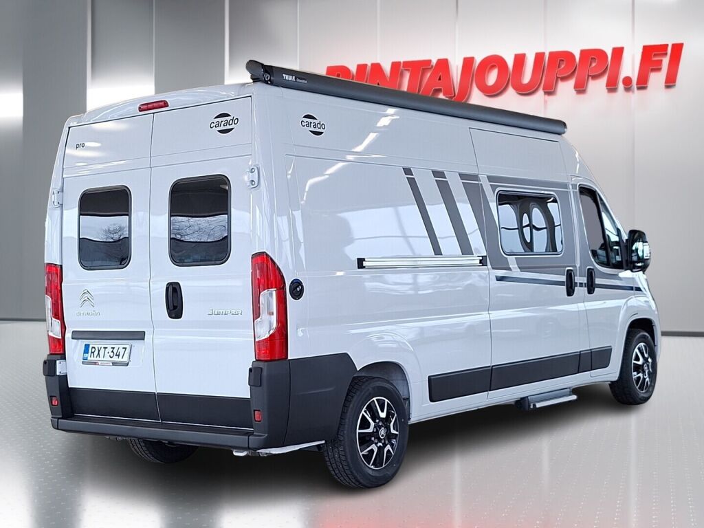 Carado CVE 600 PRO 2025 Valkoinen