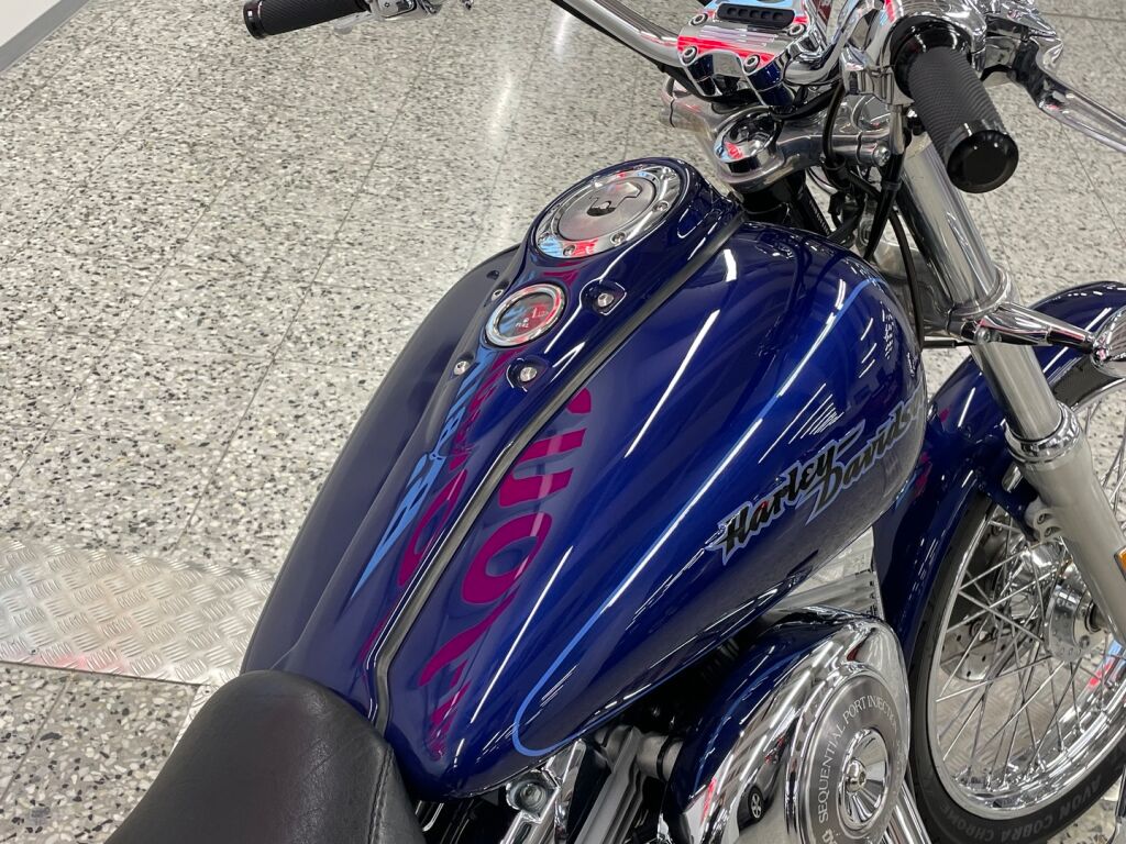 Harley-davidson DYNA 2006 Sininen