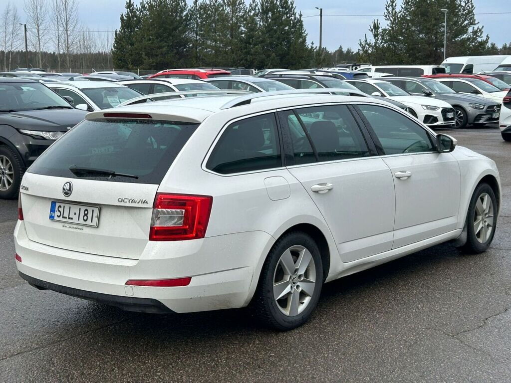 Skoda Octavia 2014 Valkoinen