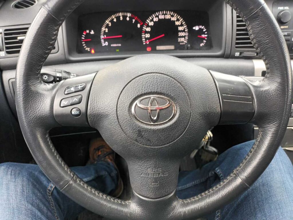 Toyota Corolla 2004 Sininen