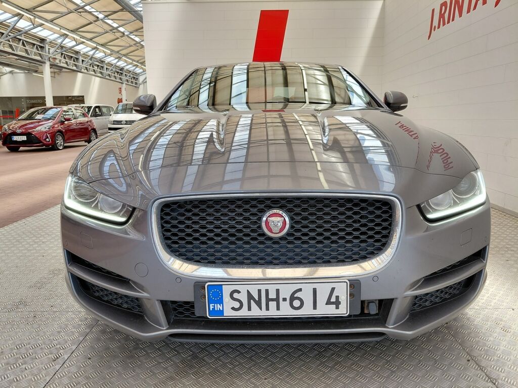 Jaguar XE 2015 Harmaa