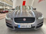 Jaguar XE 2015 Harmaa
