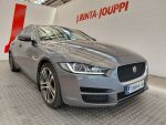 Jaguar XE 2015 Harmaa