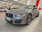 Jaguar XE 2015 Harmaa