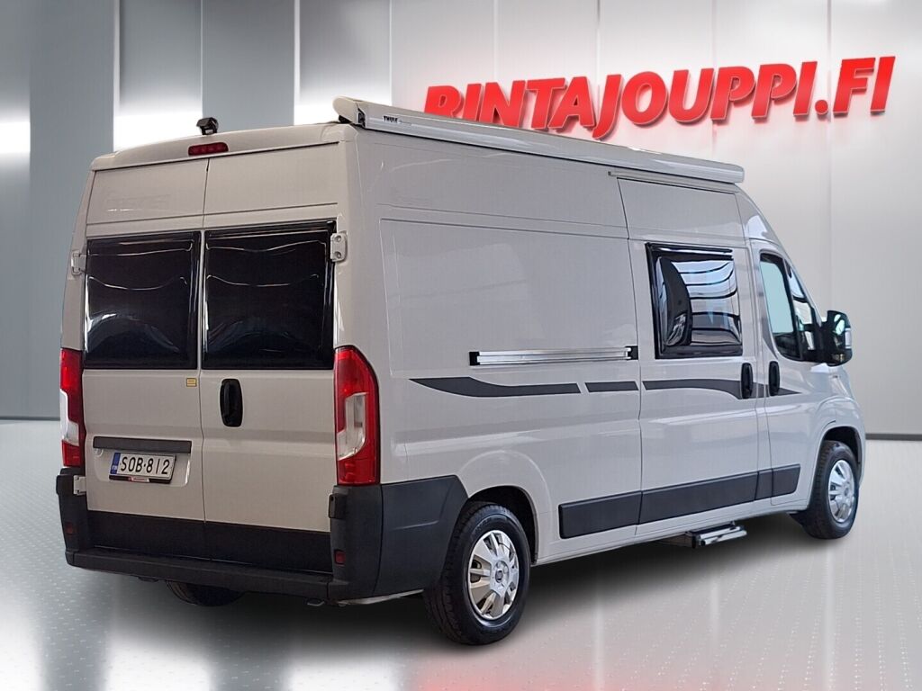 Dreamer 600 2018 Valkoinen