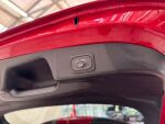 Ford Focus 2022 Punainen