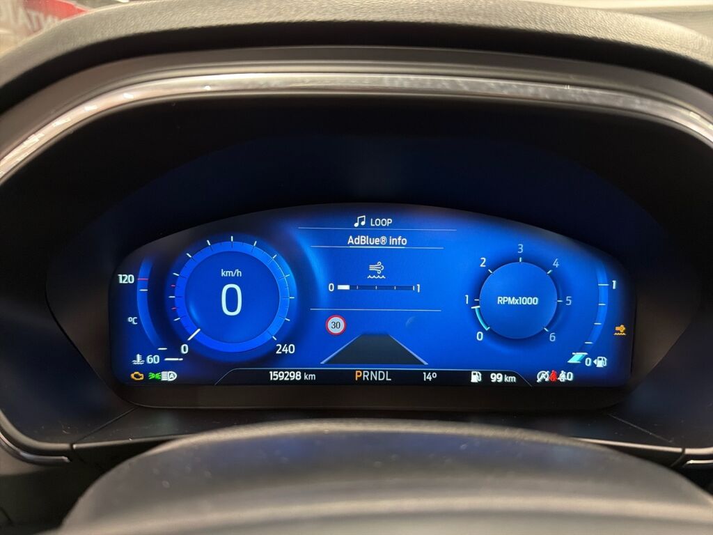 Ford Focus 2022 Valkoinen