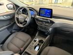 Ford Kuga 2021 Sininen