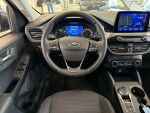 Ford Kuga 2021 Sininen