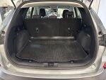 Ford Kuga 2021 Harmaa