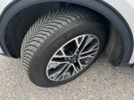 Ford Kuga 2021 Harmaa