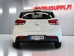 Kia Rio 2024 Valkoinen