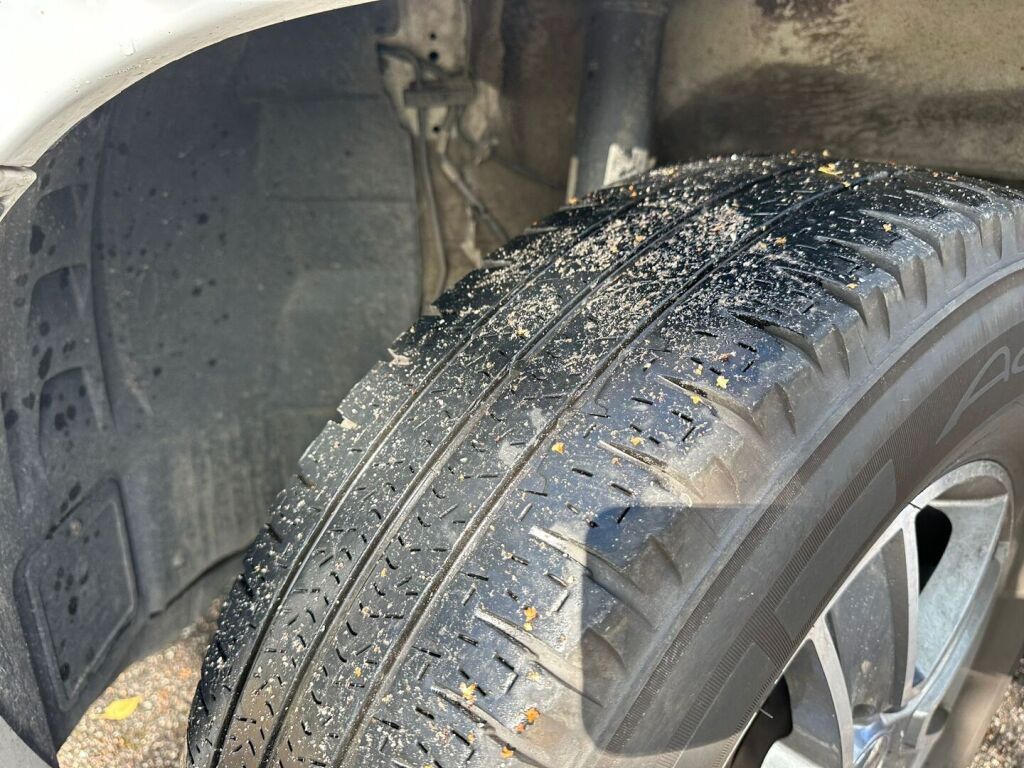 Carado CV 540 Pro 2023 Valkoinen