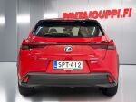 Lexus UX 2020 Punainen