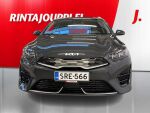 Kia Ceed 2025 Dark Penta Metal