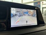 Ford Transit Courier 2026 Musta